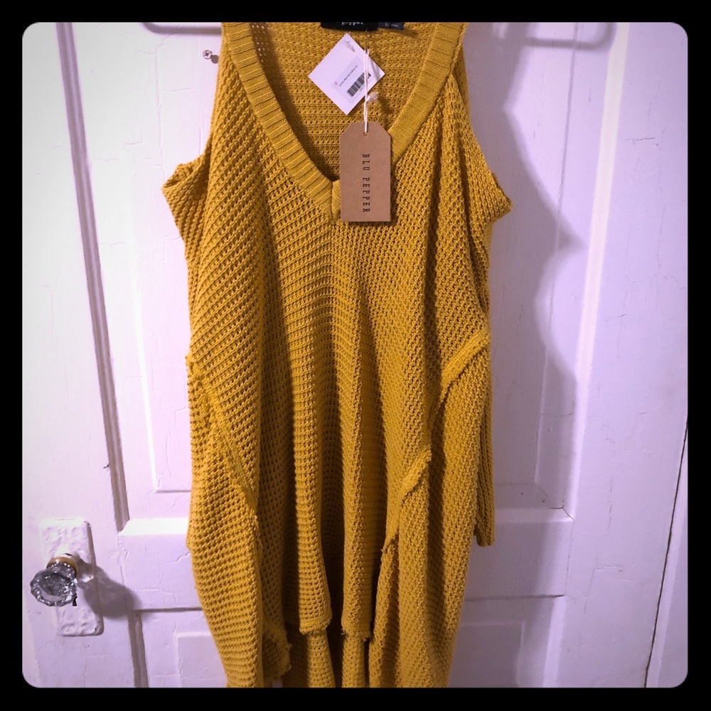 Brand New! Blue Pepper Fall Sweater
